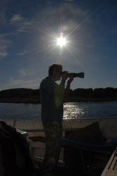 taken some pics on the way home from a day diving near ko... by Andy Kutsch 